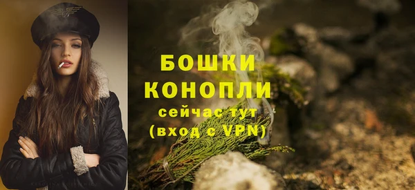 Альфа ПВП Костерёво
