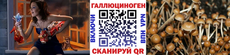 Псилоцибиновые грибы Psilocybine cubensis Арск